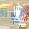 Bouillon d’os bio : l’allié nutritionnel discret des rituels bien-être