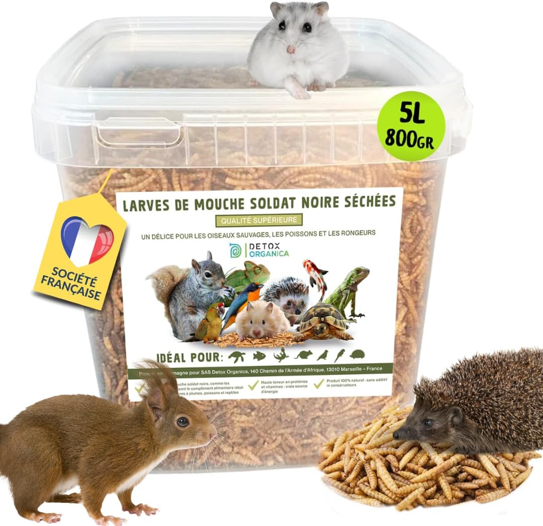 Larve de Mouche Soldat Noire 800g(=5 litres) QUALITE PREMIUM, Black Soldier Fly, Friandise pour Oiseaux, Hérissons, Tortues, Reptiles, Poissons, Rongeurs, 100%Naturel, sans additifs(800g,MoucheSoldat)