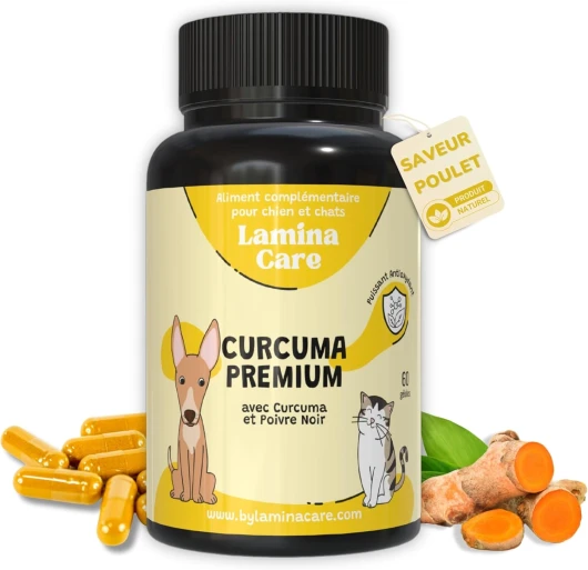 Anti Inflammatoire Chien Naturel avec Curcuma et Pipérine, Complement Alimentaire Chien Articulation et la Digestion avec Action Antioxydante pour l' Arthrose Chien