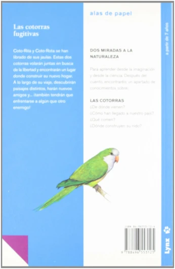 61YVOdBCNqL._SL1470_