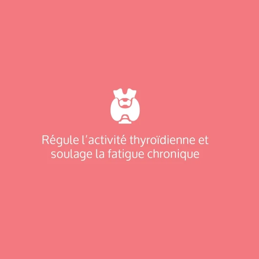 51WbdndbdNL._AC_SL1500_