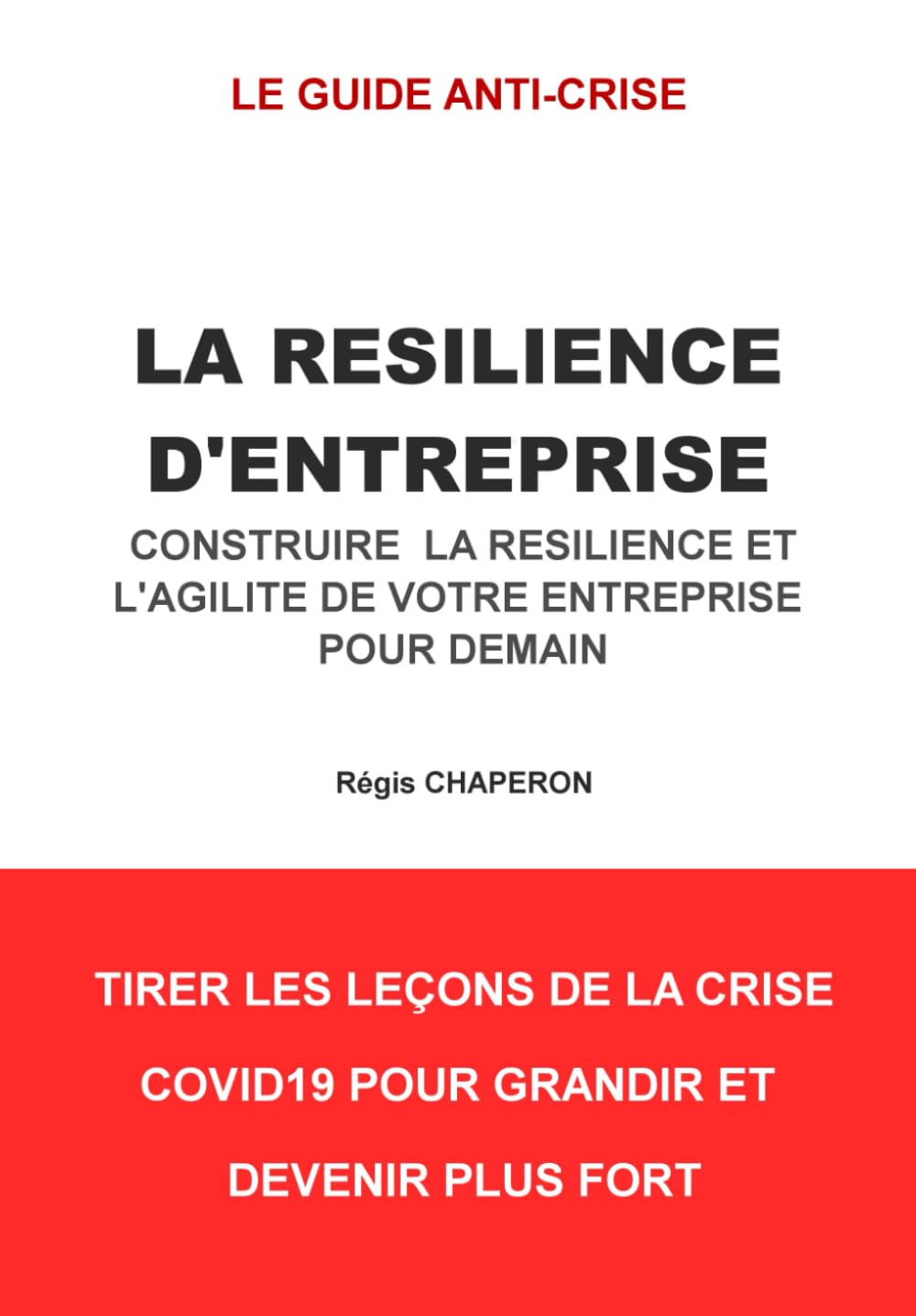 LA RESILIENCE D’ENTREPRISE: Construire la résilience et l'agilité de votre entreprise pour demain