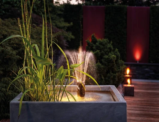 71GUhRV6spL._AC_SL1200_