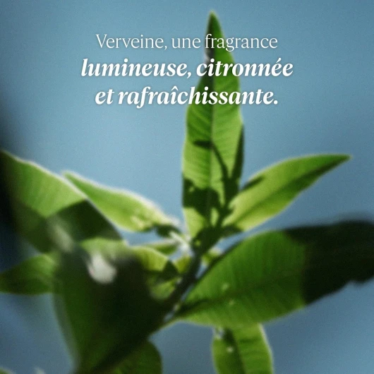 81uMLNnDdGL._AC_SL1500_