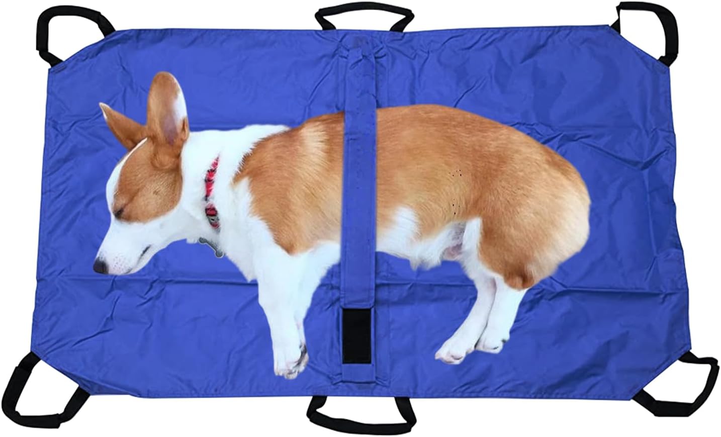 Brancard pour Animaux - Brancard Porte-Animaux - Léger pour Secours Et Levage De Patients Animaux Chiots Chats Lapins Bleu