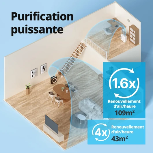 81OY0RaMfkL._AC_SL1500_