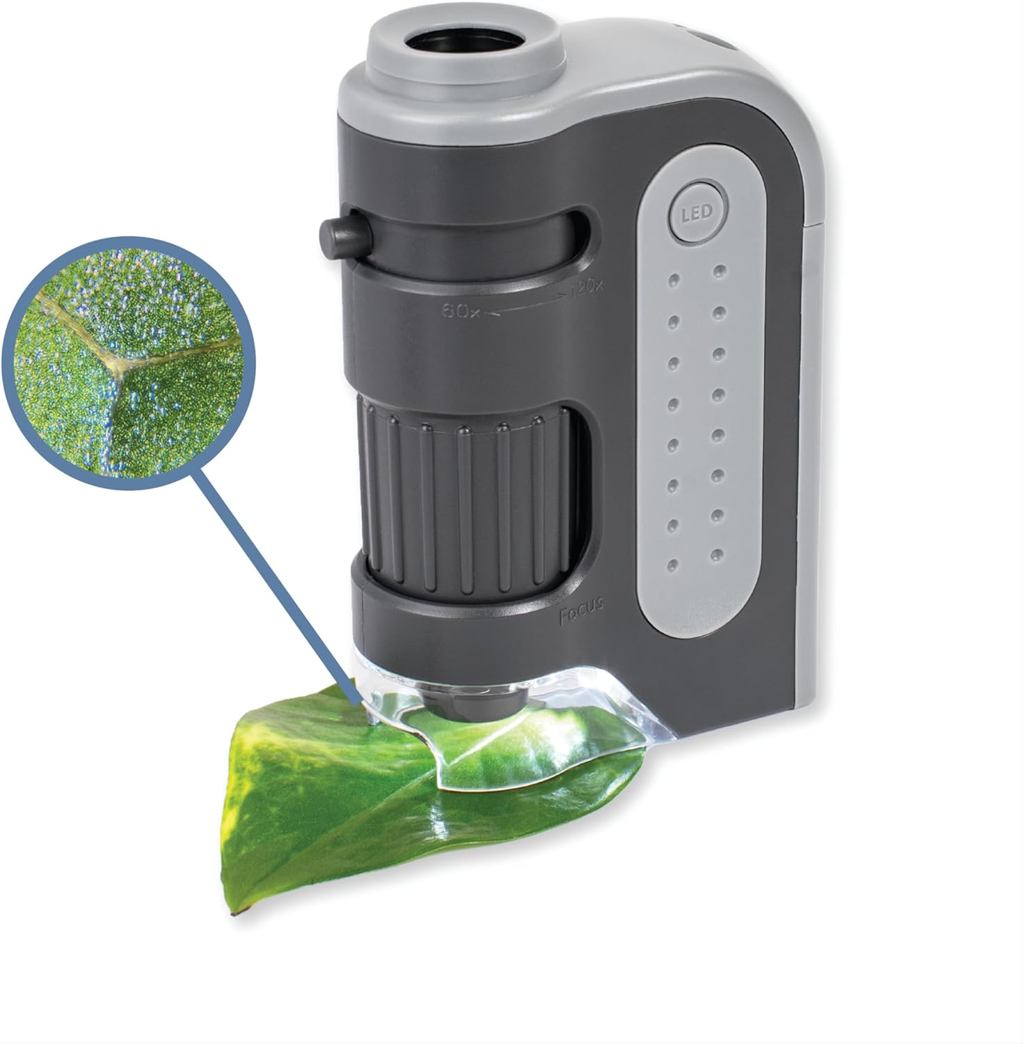 MicroBrite Plus 60-120x microscope de poche éclairé par LED pour enfants, microscope portable, mini microscope pour étudiants en laboratoire scientifique, microscope éducatif pour STEM (MM-300) Individuel