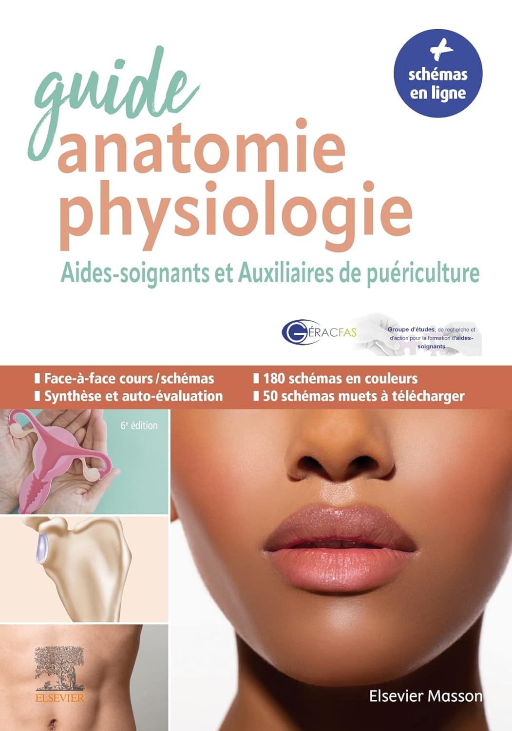 Guide anatomie et physiologie pour les AS et AP: Aides-soignants et Auxiliaires de puériculture - La référence