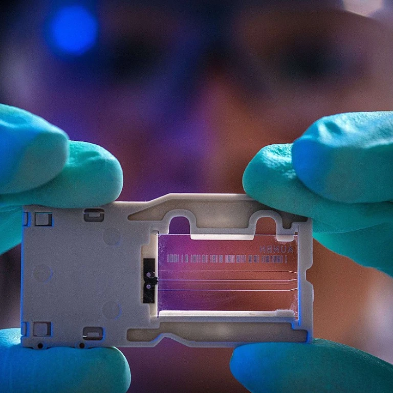 Comment devenir un gestionnaire de données dans le secteur de la parapharmacie