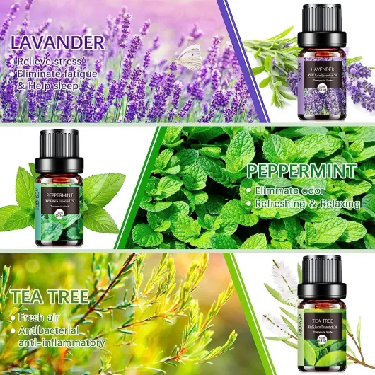 8107QpIBjBL._AC_SL1500_