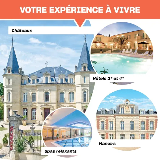 81X 0mx2a5L._AC_SL1500_