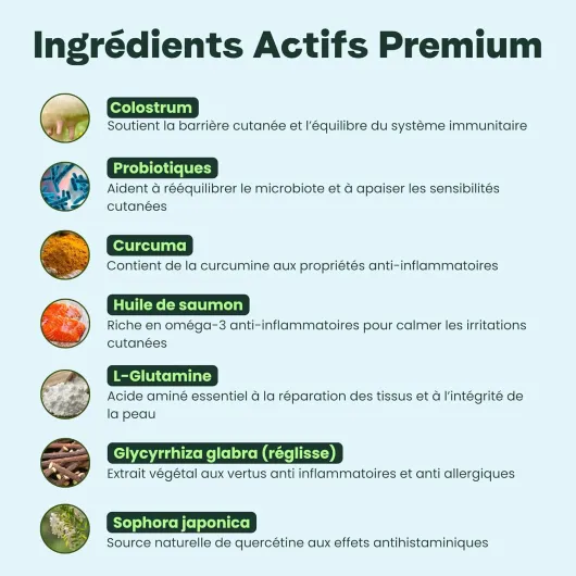 71IW-Bnm6jL._AC_SL1500_