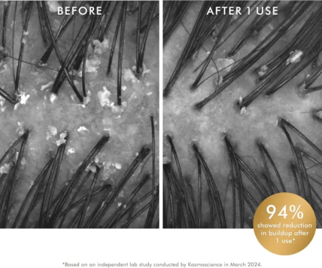 81pPmEzZtiL._AC_SL1500_