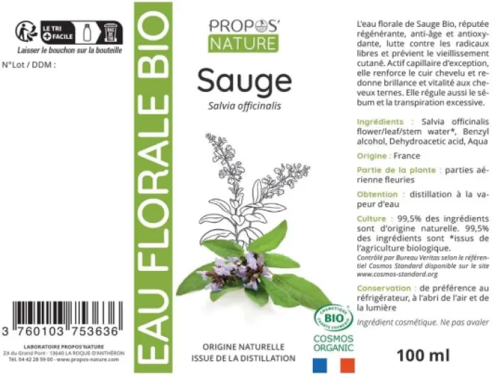 61v1C 4qhLL._AC_SL1000_