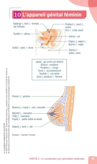 71i12IOWFyL._SL1500_