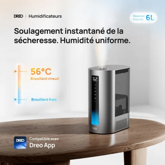 Dreo 6L Humidificateur chambre à coucher, intelligent, brume chaude/froide, pour plantes et bébé, remplissage par le haut, 60H d'autonomie, silencieux, avec minuterie, compatible Google/Alexa, HM713S Argenté