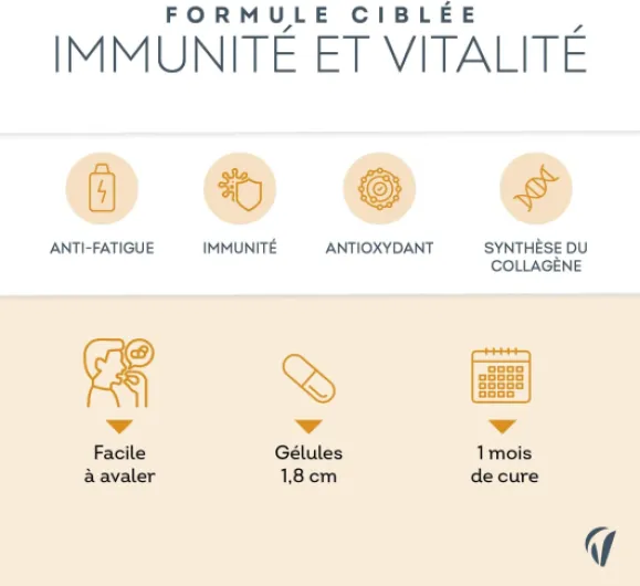 61T6 3E6VqL._AC_SL1500_