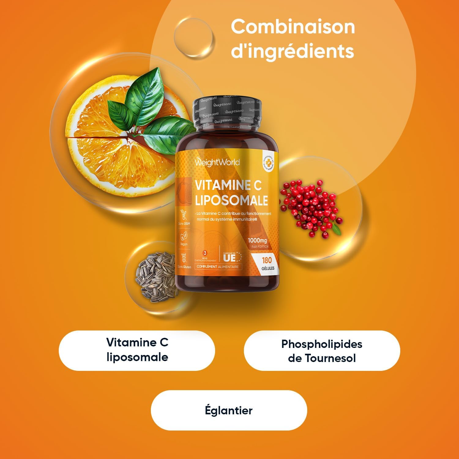 Vitamine C Liposomale 1000mg, 180 Gélules Vegan, Vit C 1000mg Liposomale Gélules, Acide Ascorbique Enrichie avec Extrait d'Églantier Cynorrhodon pour 3 Mois, sans Stéarate de Magnésium