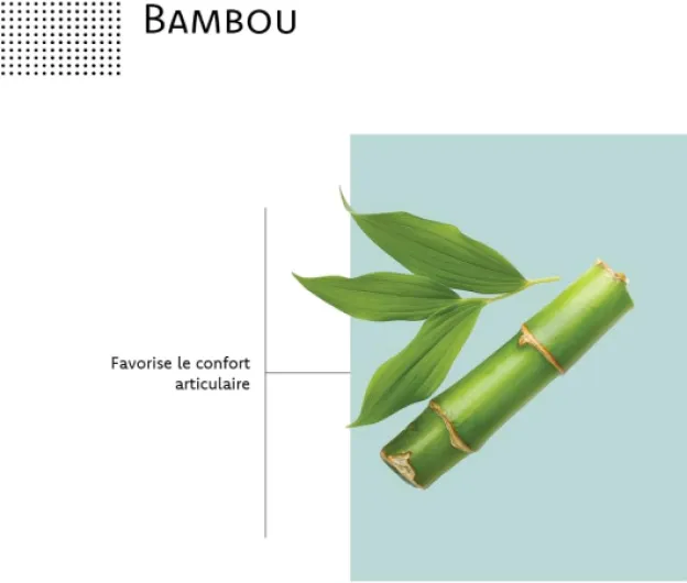 51A39Ykut2L._AC_SL1000_