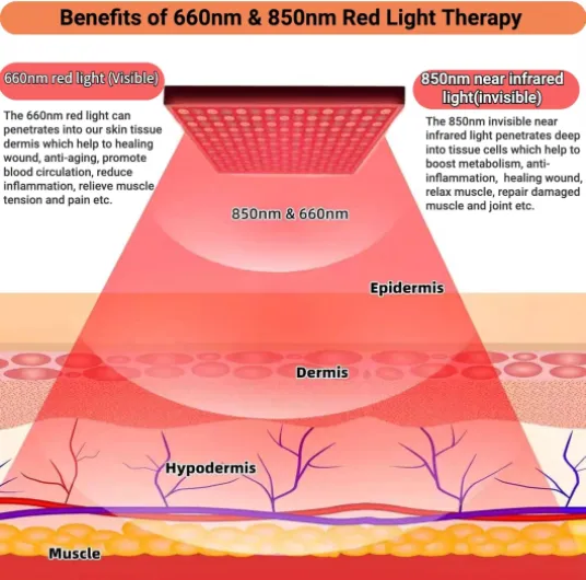 Lampe de luminothérapie rouge à 225 LED,660nm et 850nm,appareil de luminothérapie proche infrarouge pour tout le corps,le visage,le cou,le dos,les épaules,la taille et les genoux,soulageant la douleur