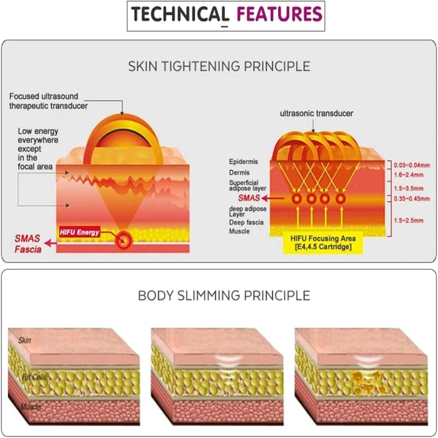 Appareil de Raffermissement Cutané 3D Hifu,pour Raffermir Les Rides et Le Front,Lifting du Visage pour Un Usage en Salon et à Domicile,5Heads