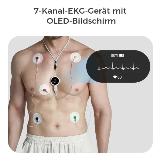 61oFETnlPaL._SL1500_