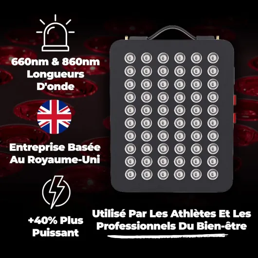 81kGA7jkQML._AC_SL1500_