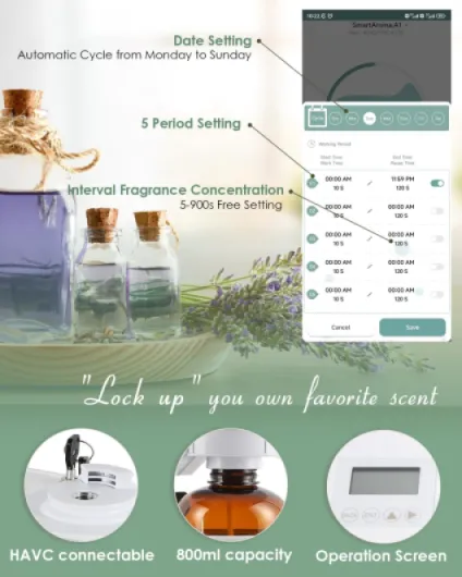 71YnyL29CuL._AC_SL1500_