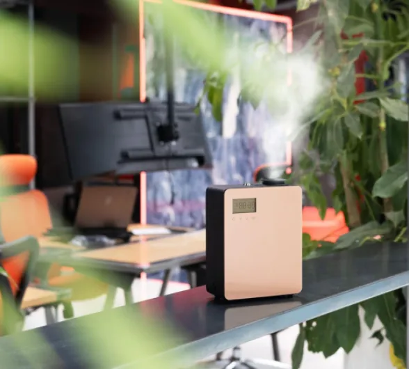 71W6hTZ4AKL._AC_SL1500_