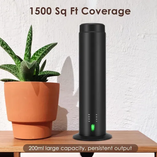 71BGKBw5XHL._AC_SL1500_