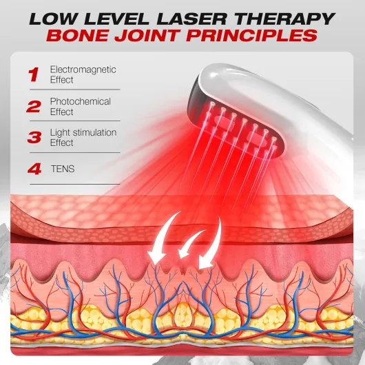 81M-0Xetb2L._AC_SL1500_