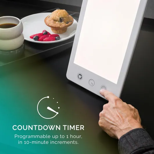 71LoJQVBNhL._AC_SL1500_