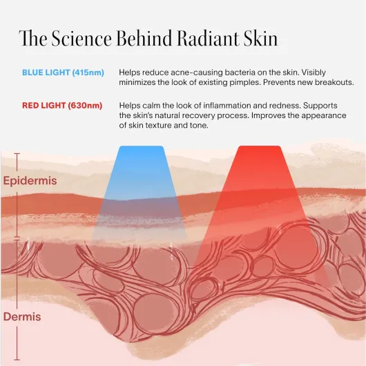 71R8wXni03L._AC_SL1500_