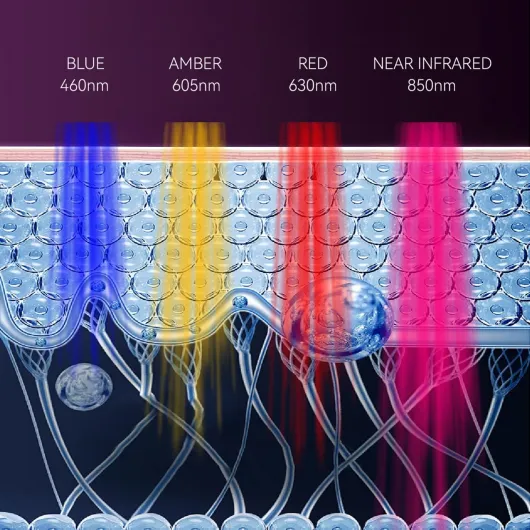 81rcjDADKhL._AC_SL1500_