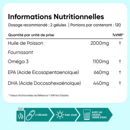 61cUQo5BCTL._AC_SL1500_