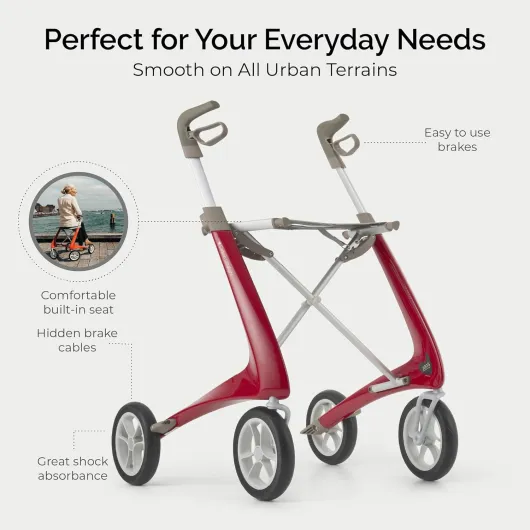 71rxP6-6gXL._AC_SL1500_