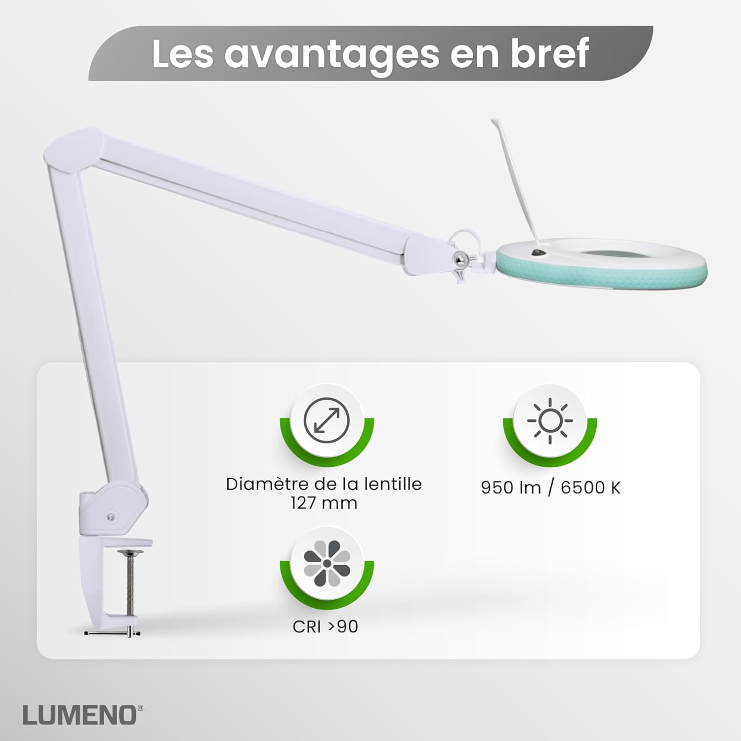 LED Lampe loupe 7218GN avec lentille en verre de 127 mm, lampe de travail, convient pour cosmétique, les bricoleurs, aide à la lecture lampe grossissante, 8 dioptries Vert Vert 8 dioptries