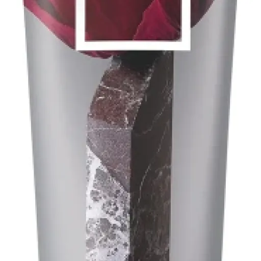 Test Wella Colour Fresh Mask Rose Blaze : un rose sympa sans flinguer les cheveux
