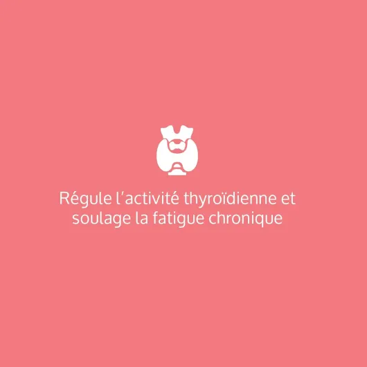 Complément Alimentaire, Régulation Optimale de la Thyroïde - Iode, Selenium, Zinc, Fer, Vitamines B1, B2 - L-Tyrosine, Avoine - Vegan, Extraits Végétaux BIO - Complement Fabriqué en France 60 gélules
