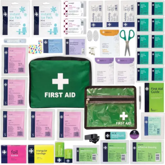LEWIS-PLAST Pièces de premiers soins de la trousse de premiers soins plastiques 160 pièces - composant de kit de sauvetage de haute qualité avec normes européennes 160 pieces