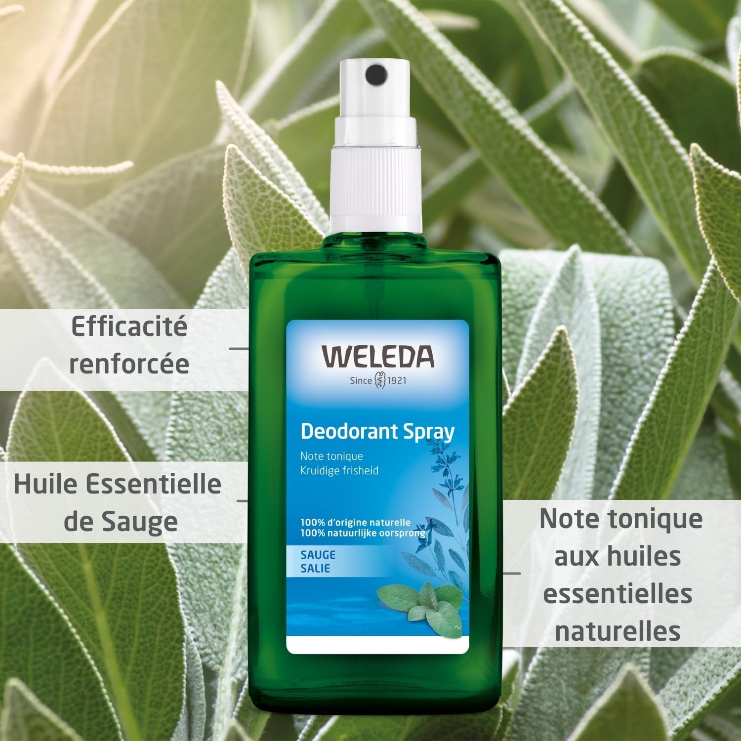 Déodorant Sauge efficacité Formule 100% d'origine naturelle - Protection déodorante efficace - NATRUE - Vegan - 100 ml Aquatic 100 ml (Lot de 1)