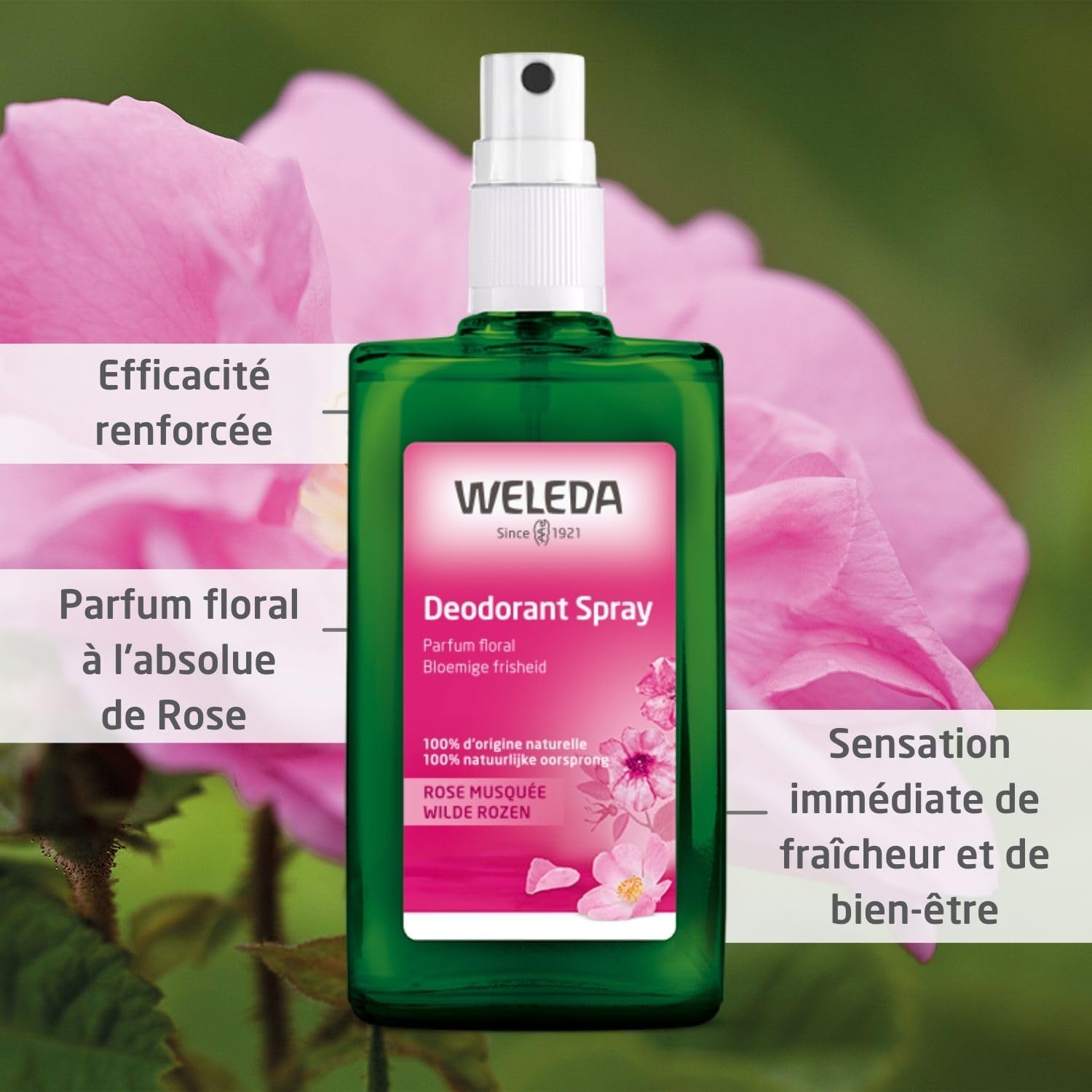 Déodorant spray à la Rose musquée - 100 ml - Déodorant Femme Spray, 100 % d’Origine Naturelle, Sans Sels d’Aluminium, Parfum Rose de Damas, Vegan NATRUE Rose 1 unité (Lot de 1)