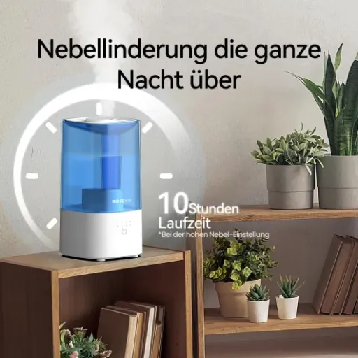 Test Rosekm Humidificateur 2L : petit, simple, efficace pour une chambre ou des plantes